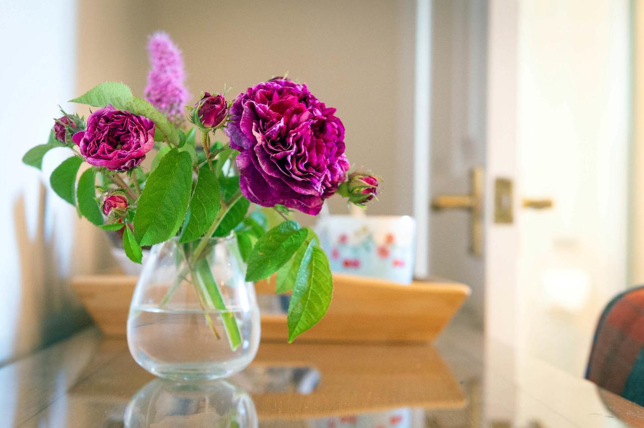The Dinney B&B Bridgnorth Kültér fotó