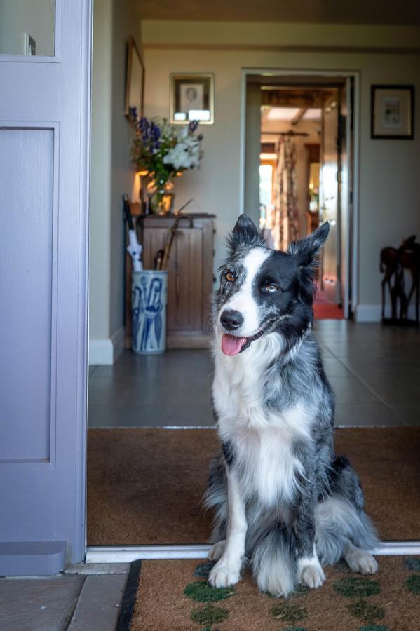 The Dinney B&B Bridgnorth Kültér fotó